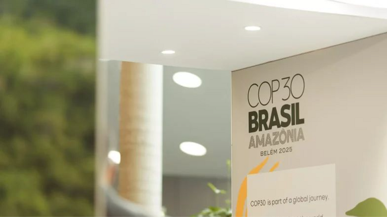 COP30 no Brasil: você sabe o que é e por que esse evento é tão importante?