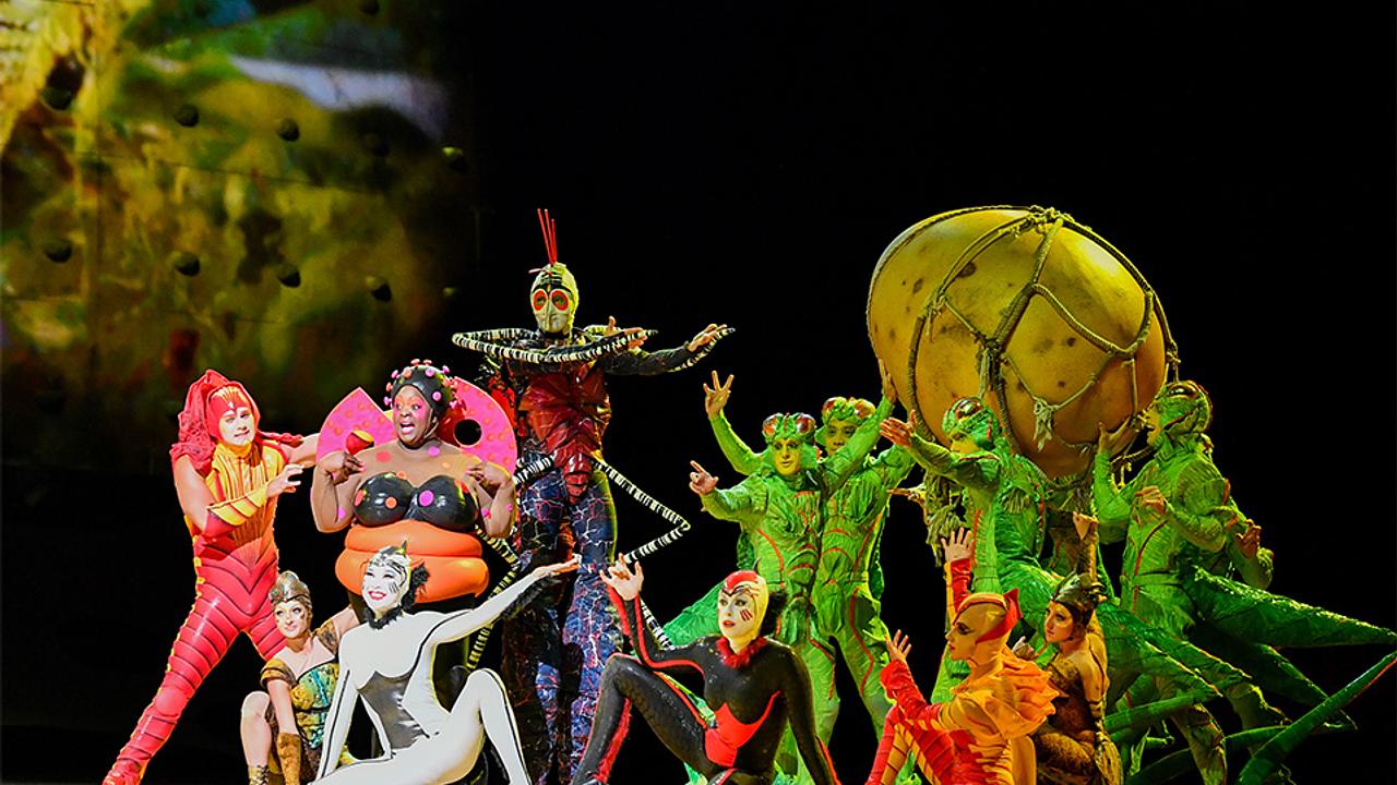 Brasileiros brilham no Cirque du Soleil – OVO e a Radio Brazil Atlanta esteve lá para mostrar tudo de perto!