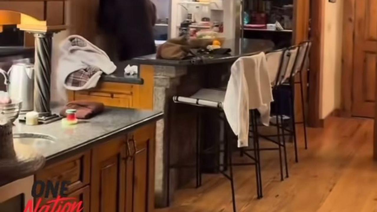 Urso invade casa e surpreende moradores