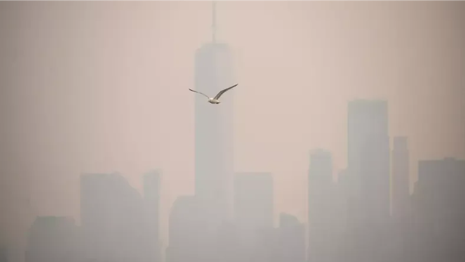 Fumaça de incêndios no Canadá encobre Nova York e Nova Jersey antes da final da Copa do Mundo