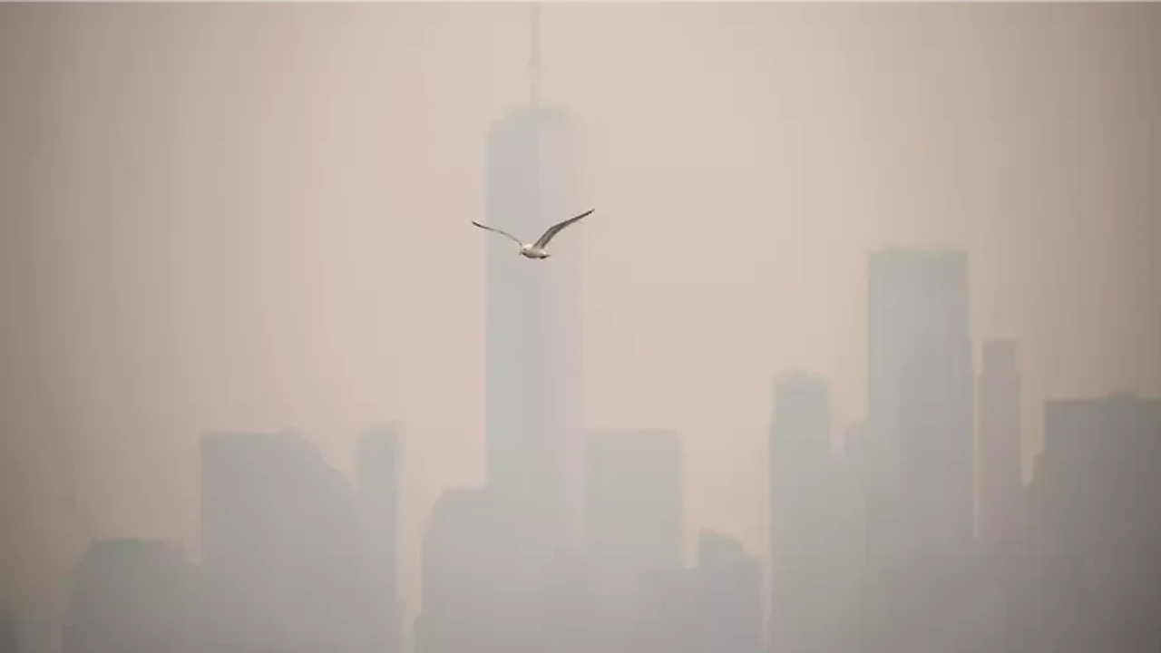 Fumaça de incêndios no Canadá encobre Nova York e Nova Jersey antes da final da Copa do Mundo