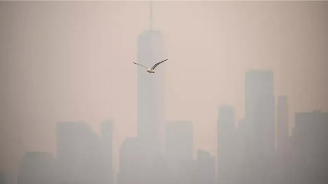 Fumaça de incêndios no Canadá encobre Nova York e Nova Jersey antes da final da Copa do Mundo