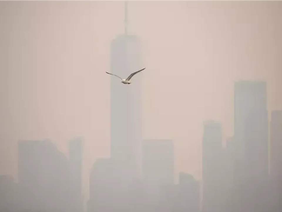 Fumaça de incêndios no Canadá encobre Nova York e Nova Jersey antes da final da Copa do Mundo