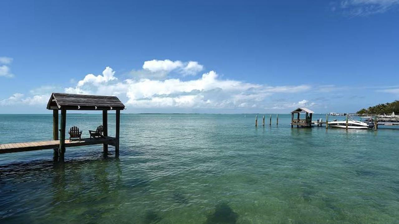Menino de 8 anos é atacado por tubarão nos Florida Keys