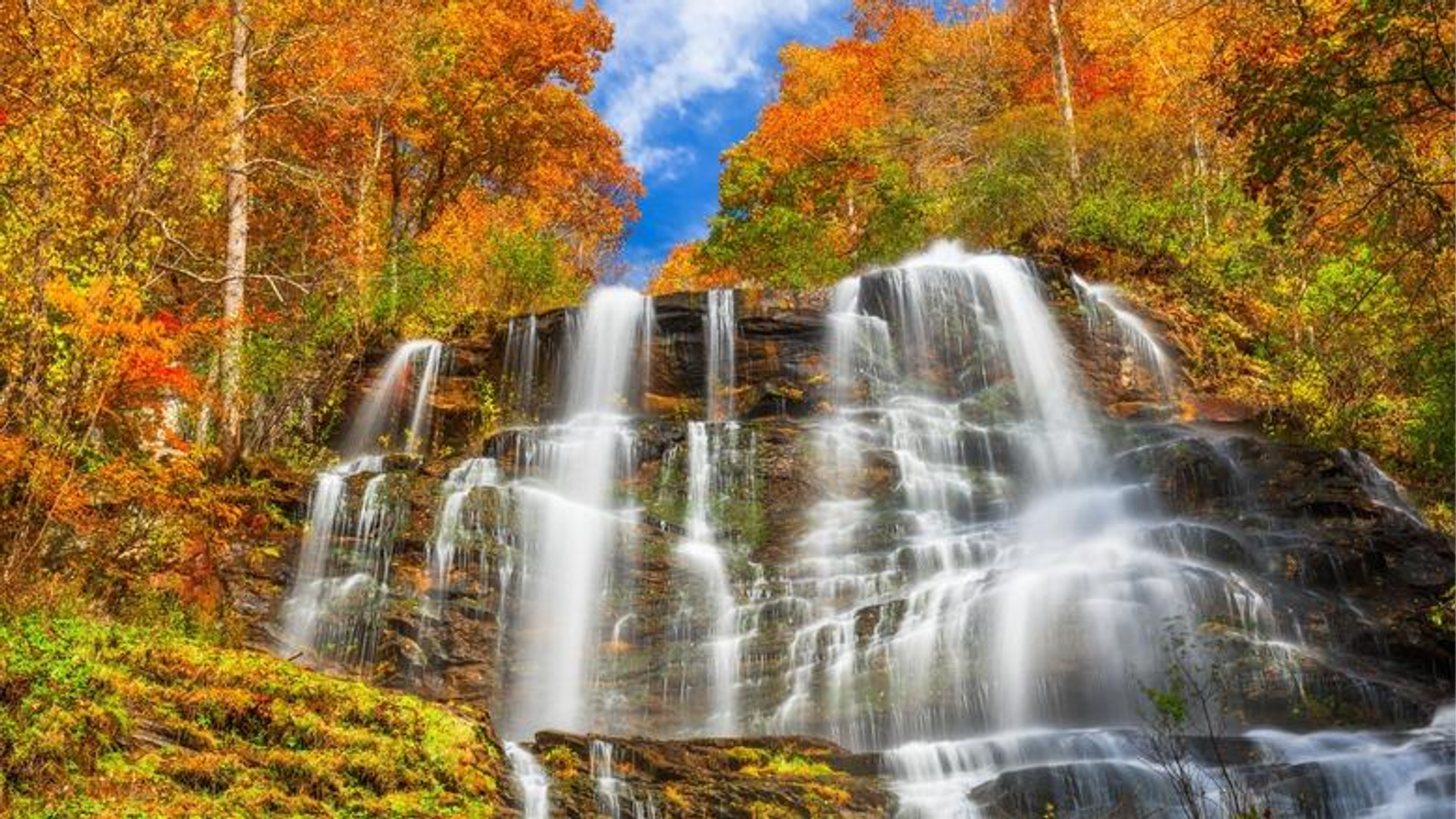 Outono na Geórgia: temporada de paisagens coloridas começa a transformar o estado
