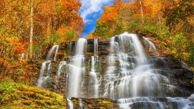 Outono na Geórgia: temporada de paisagens coloridas começa a transformar o estado
